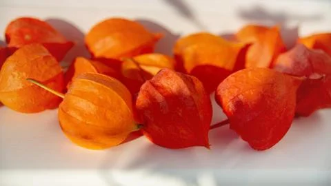 The fruits of physalis scattered on a white table Stock Photos