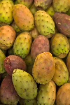 Fruits of prickly pears Stock Photos