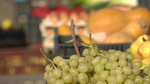 Fruits for sale Stock Footage 56632001