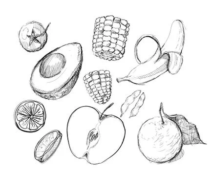Fruits set collection apple orange lime banana corn avocado hand drawn sketches Stock Illustration