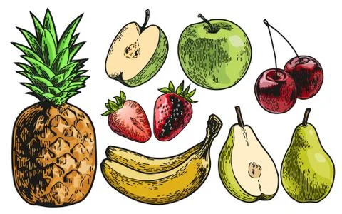 Fruits set color Stock Illustration