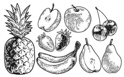 Fruits set drawn Stock Illustration