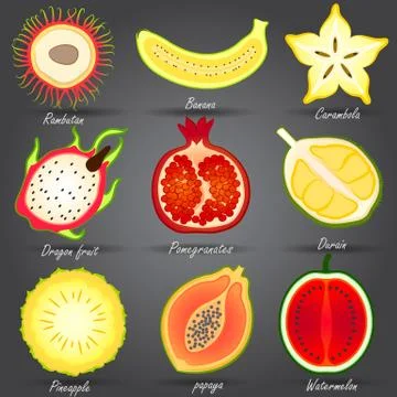 Fruits set Stock Illustration