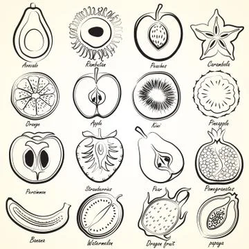 Fruits set Illustrazione stock