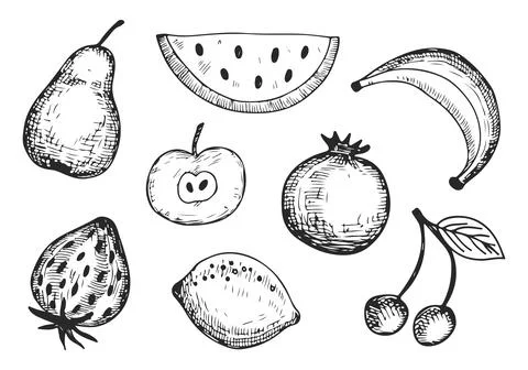 Fruits set sketchy silhouettes vector Stock Illustration