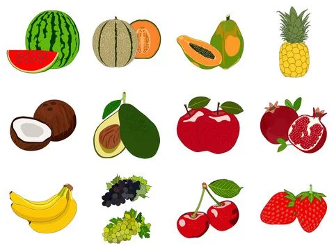 Fruits set vector drawing on isolated background flat design collection Stock Illustration