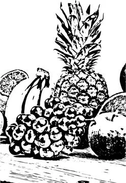 Fruits Sketch vector Stock Illustration