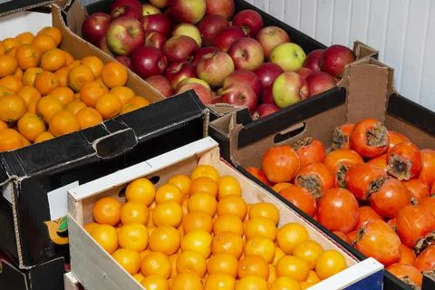 Fruits in warehouse Stock Photos