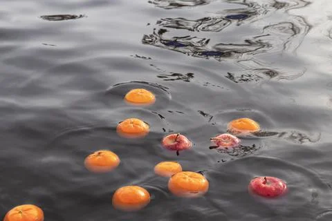 Fruits in water. Stock Photos