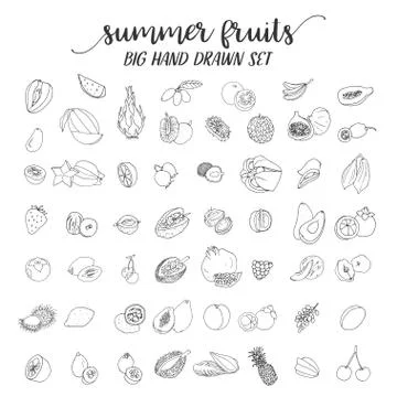 Fruits on white background. Vector illustration Stock Illustration