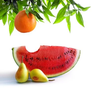 Fruits on white Stock Photos