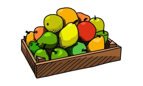 Fruits in the wooden box. Vector Stock Illustration