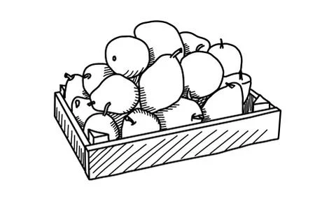 Fruits in the wooden box. Vector Stock Illustration
