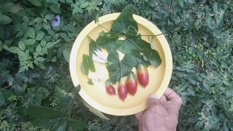 Fruity Meal with Vegetables Video stock 297752608