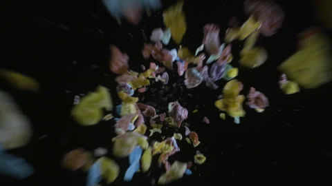 Fruity Pebbles cereal breakfast falls into frame with black background, 2 clips Stock Footage 154212442