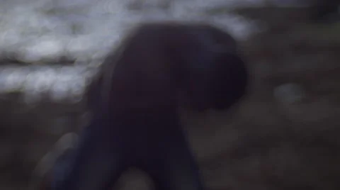 Frustrated guy shouting at the beach area 16 Stock Footage 67527448