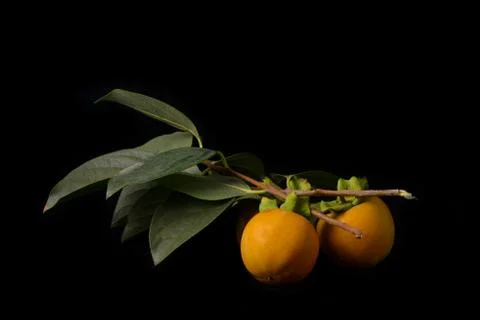 Frutes Stock Photos