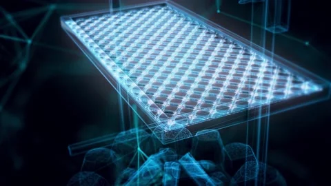 Fry chicken meat on open fire bonfire with firewood grill hologram Close up 4k Video stock 148489010