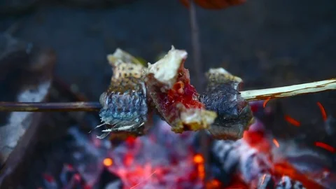 Fry the fish on the fire. Close up Video stock 70624464