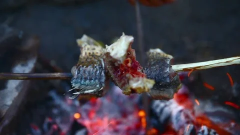 Fry the fish on the fire. Close up. No color correction Video stock 70625023