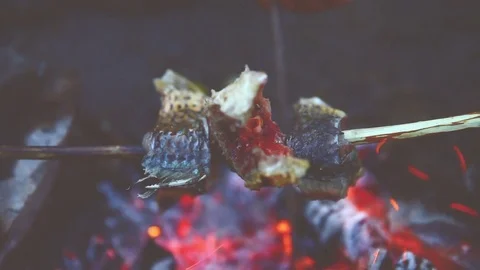 Fry the fish on the fire. Close up. Vignette color Stock Footage 70623969