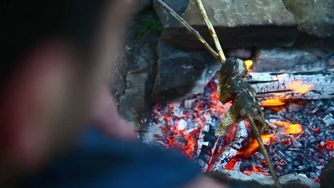 Fry the fish on the fire. No color correction Stock Footage 70623940