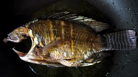 Fry fish Stock Footage 326375066