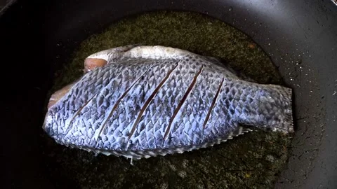 Fry fish1 Stock Footage 315141224