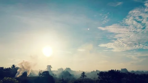 Fry grass 動画素材 344354152