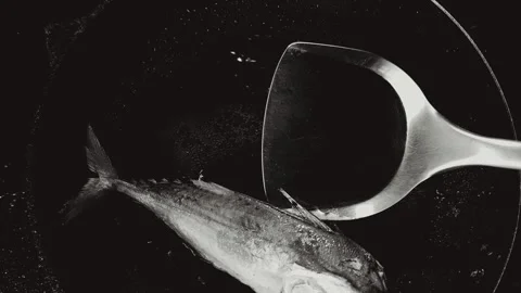 Fry Mackerel Stock Footage 337914842