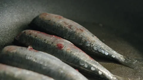 Fry me some mackerels Stock Footage 145005600