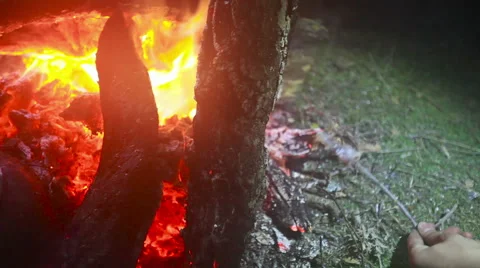 Fry meat on the fire 動画素材 62758297