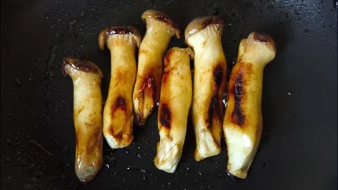 Fry mushroom Stock Footage 327171707