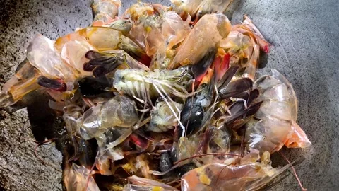 Fry shrimp shell Stock Footage 321045845