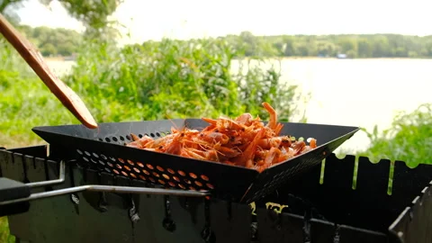 Fry shrimps on a fire. Elective focus. Stock Footage 294891985