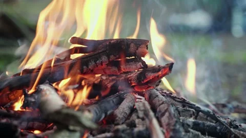 Frying bacon on a bonfire Stock Footage 198512312