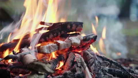 Frying bacon on a bonfire Stock Footage 198512411