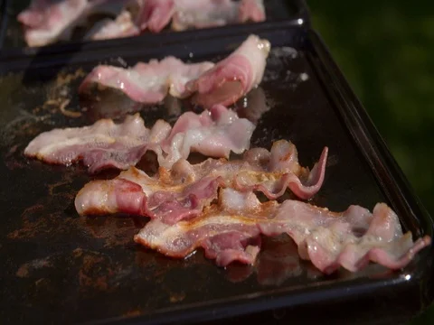 Frying bacon turned on a portable gas stove, outdoor cooking Stock Footage 76261665
