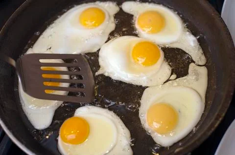 Frying a batch of eggs Stock Photos