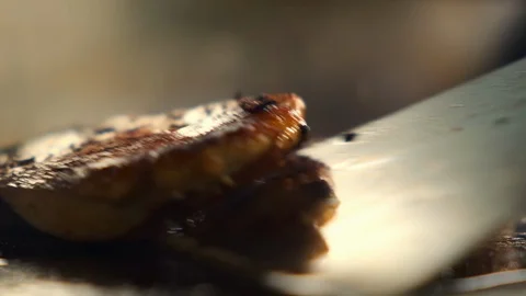 Frying chicken fillet on a grill 스톡 동영상 119637541