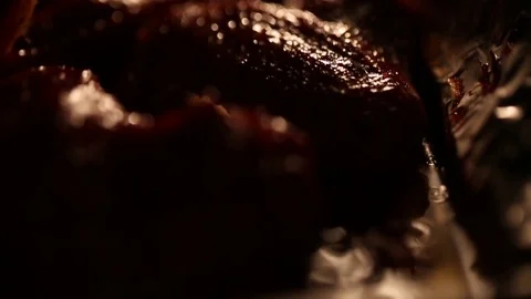 Frying chicken Stock Footage 81532166