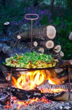 Frying chips Stock Photos
