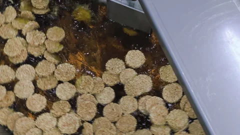 Frying the crispy rice crackers in an automatic fryer Stock Footage 308929528