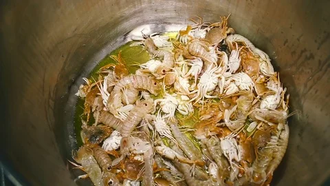 Frying of different seafood in big saucepan. Close up Stock Footage 74523518