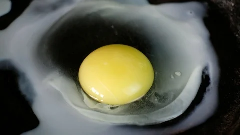 Frying egg in fast motion Stock Footage 127219720