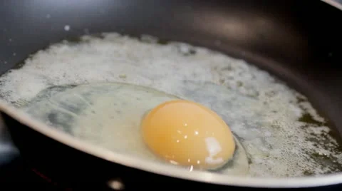 Frying an Egg Stock Footage 12719654