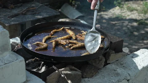 Frying fish in cast iron pan on open fire outdoors Stock Footage 312522017