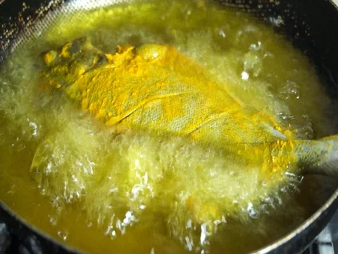 Frying fish Video stock 104491142