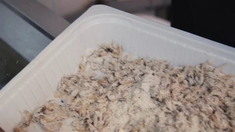 Frying fresh fish Stock Footage 87747883