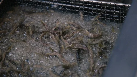 Frying fresh fish Stock Footage 87748375